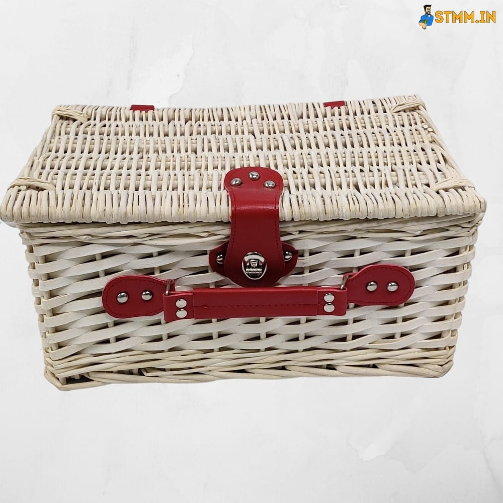 eGenuss Handmade Wicker Picnic Basket for 2 or 4 People with Porcelain Tableware Cutlery Wine Glasses or Ceramic Cups 